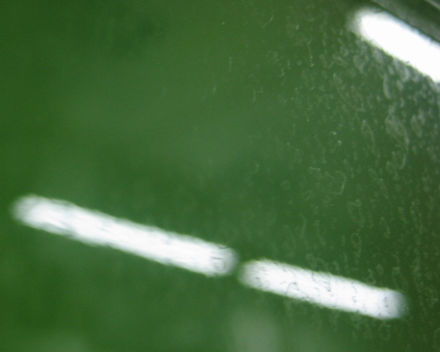 water3.jpg